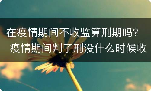 在疫情期间不收监算刑期吗？ 疫情期间判了刑没什么时候收监