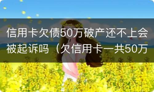 信用卡欠债50万破产还不上会被起诉吗（欠信用卡一共50万实在还不上）