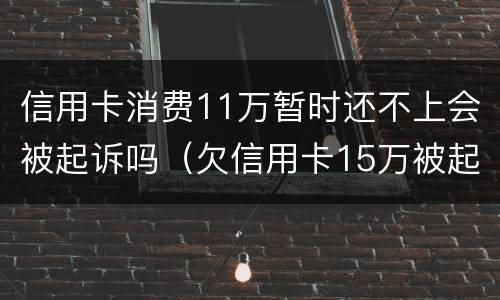 信用卡消费11万暂时还不上会被起诉吗（欠信用卡15万被起诉了会怎么样）