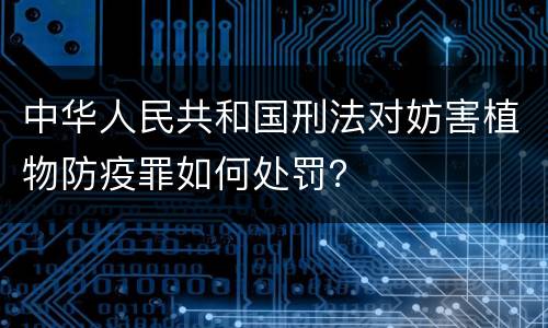 中华人民共和国刑法对妨害植物防疫罪如何处罚？