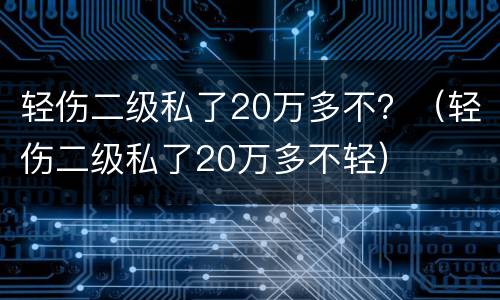 轻伤二级私了20万多不？（轻伤二级私了20万多不轻）