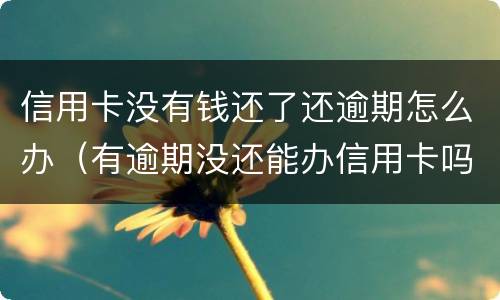 信用卡没有钱还了还逾期怎么办（有逾期没还能办信用卡吗）