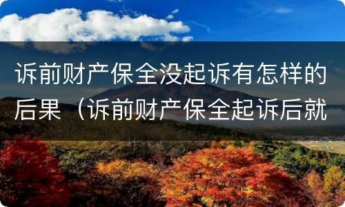 诉前财产保全没起诉有怎样的后果（诉前财产保全起诉后就无效了吗）