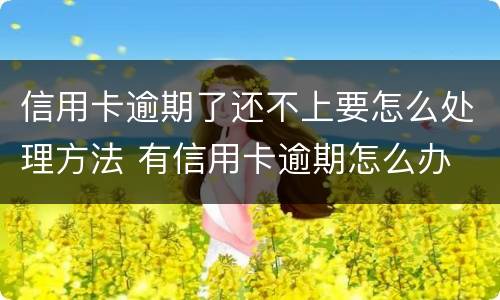 信用卡逾期了还不上要怎么处理方法 有信用卡逾期怎么办