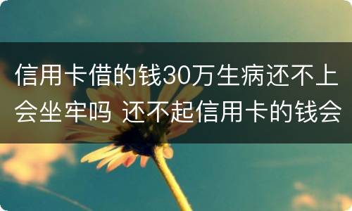 信用卡借的钱30万生病还不上会坐牢吗 还不起信用卡的钱会坐牢吗