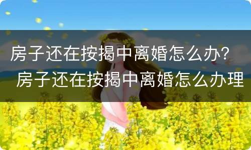 房子还在按揭中离婚怎么办？ 房子还在按揭中离婚怎么办理手续