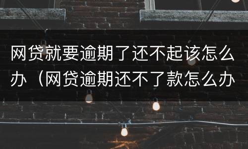 网贷就要逾期了还不起该怎么办（网贷逾期还不了款怎么办）