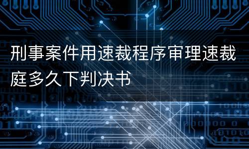 刑事案件用速裁程序审理速裁庭多久下判决书