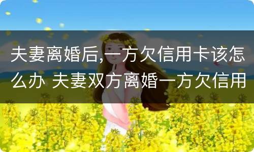 夫妻离婚后,一方欠信用卡该怎么办 夫妻双方离婚一方欠信用卡怎么处理