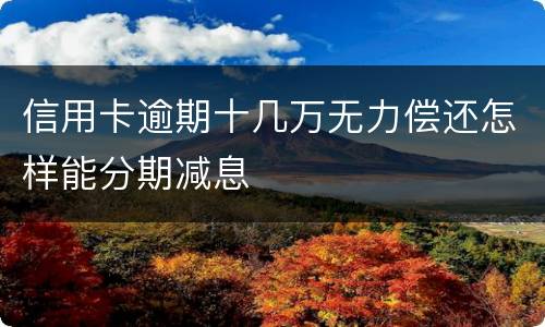 信用卡逾期十几万无力偿还怎样能分期减息