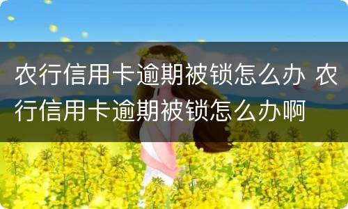 农行信用卡逾期被锁怎么办 农行信用卡逾期被锁怎么办啊
