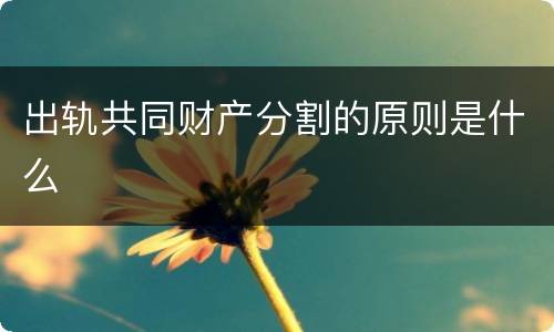 出轨共同财产分割的原则是什么