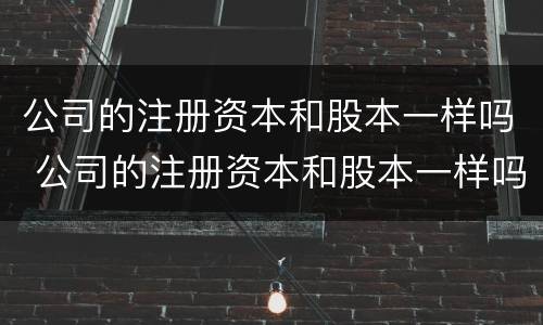 公司的注册资本和股本一样吗 公司的注册资本和股本一样吗合法吗