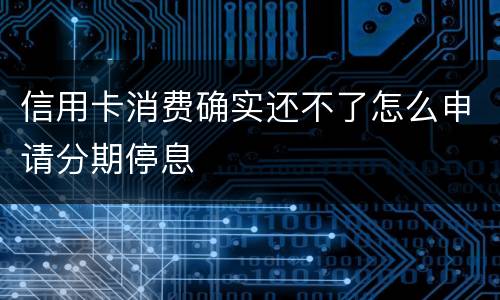 信用卡消费确实还不了怎么申请分期停息