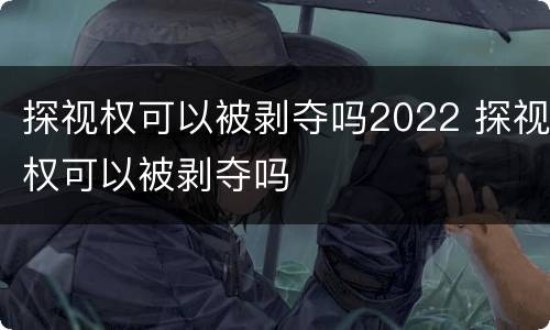 探视权可以被剥夺吗2022 探视权可以被剥夺吗