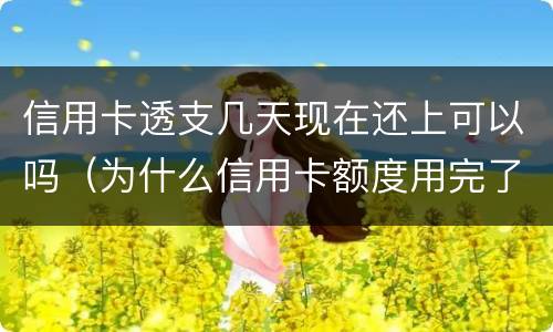 信用卡透支几天现在还上可以吗（为什么信用卡额度用完了还能透支）