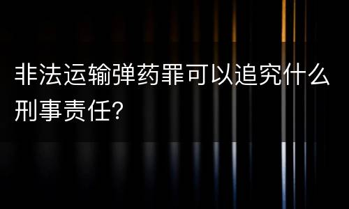 非法运输弹药罪可以追究什么刑事责任？
