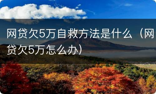 网贷欠5万自救方法是什么（网贷欠5万怎么办）