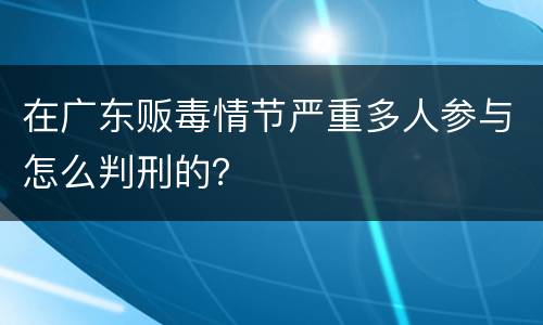 在广东贩毒情节严重多人参与怎么判刑的？