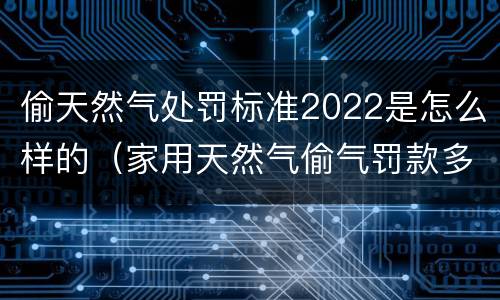 偷天然气处罚标准2022是怎么样的（家用天然气偷气罚款多少）