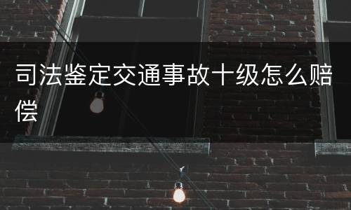 司法鉴定交通事故十级怎么赔偿