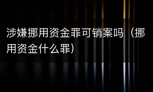 涉嫌挪用资金罪可销案吗（挪用资金什么罪）