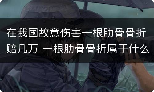 在我国故意伤害一根肋骨骨折赔几万 一根肋骨骨折属于什么伤害,能赔偿多少钱
