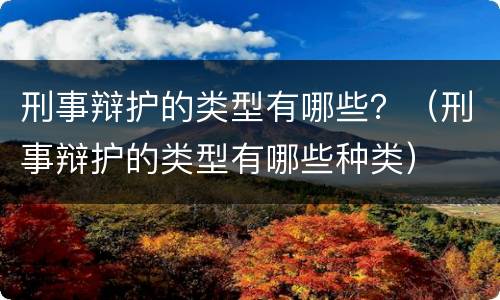 刑事辩护的类型有哪些？（刑事辩护的类型有哪些种类）
