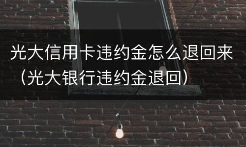 光大信用卡违约金怎么退回来(光大银行违约金退回)