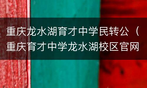 重庆龙水湖育才中学民转公（重庆育才中学龙水湖校区官网）