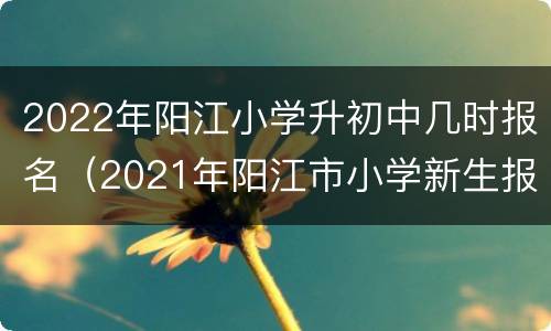 2022年阳江小学升初中几时报名（2021年阳江市小学新生报名时间）