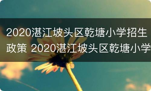 2020湛江坡头区乾塘小学招生政策 2020湛江坡头区乾塘小学招生政策如何