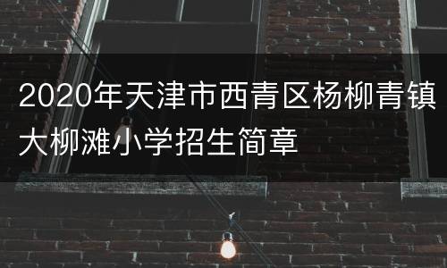 2020年天津市西青区杨柳青镇大柳滩小学招生简章