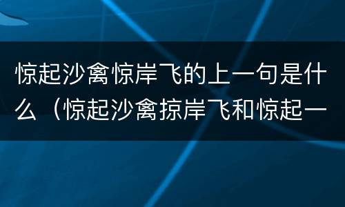 惊起沙禽惊岸飞的上一句是什么（惊起沙禽掠岸飞和惊起一滩鸥鹭有什么区别）