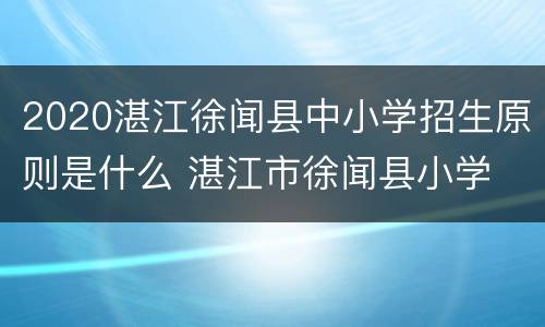 2020湛江徐闻县中小学招生原则是什么 湛江市徐闻县小学