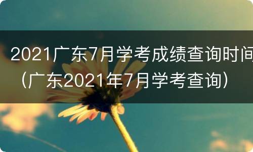 2021广东7月学考成绩查询时间（广东2021年7月学考查询）