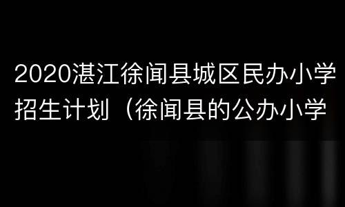 2020湛江徐闻县城区民办小学招生计划（徐闻县的公办小学学校有几所）