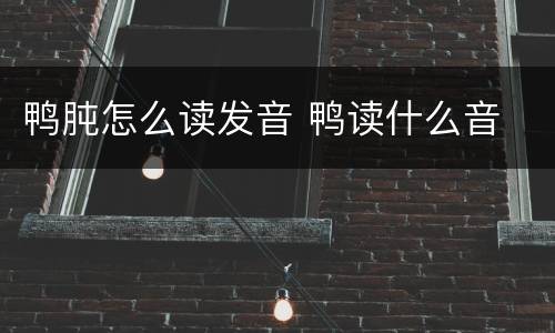 鸭肫怎么读发音 鸭读什么音