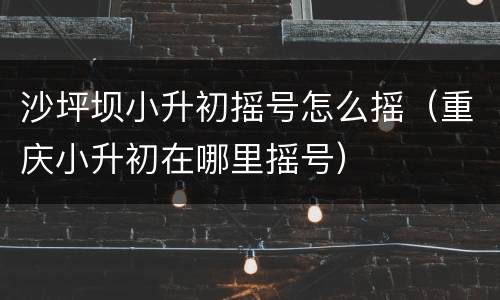 沙坪坝小升初摇号怎么摇（重庆小升初在哪里摇号）