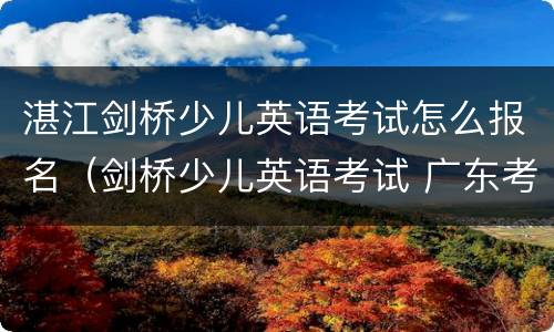 湛江剑桥少儿英语考试怎么报名（剑桥少儿英语考试 广东考点）