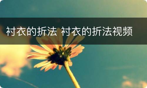 衬衣的折法 衬衣的折法视频