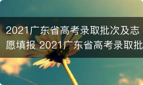 2021广东省高考录取批次及志愿填报 2021广东省高考录取批次及志愿填报表
