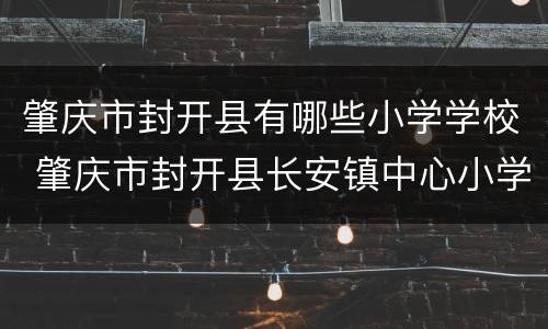 肇庆市封开县有哪些小学学校 肇庆市封开县长安镇中心小学