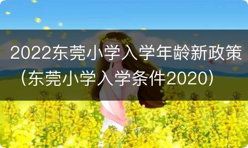 2022东莞小学入学年龄新政策（东莞小学入学条件2020）