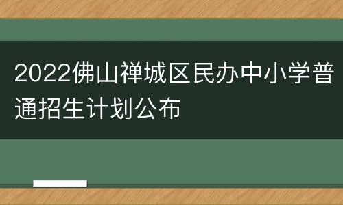 2022佛山禅城区民办中小学普通招生计划公布