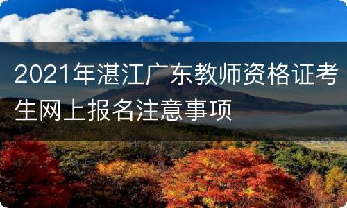 2021年湛江广东教师资格证考生网上报名注意事项