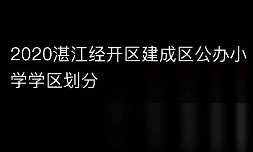 2020湛江经开区建成区公办小学学区划分