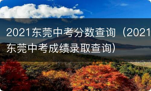 2021东莞中考分数查询（2021东莞中考成绩录取查询）