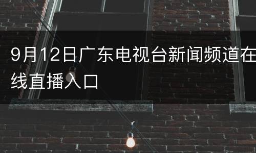9月12日广东电视台新闻频道在线直播入口