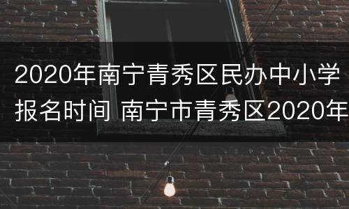 2020年南宁青秀区民办中小学报名时间 南宁市青秀区2020年中小学招生简章